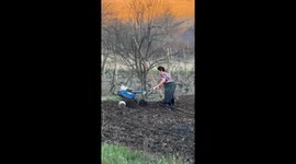 Elderly Romanian woman shows vitality ploughing field
