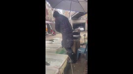 Hip cod!  Breakdancing fish seller busts his moves at market