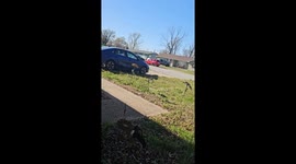 Hottest Woman sneaks up on bunny.