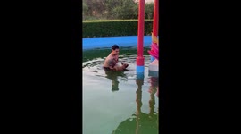 Airport security guard rescues dog from mosquito-infested paddling pool