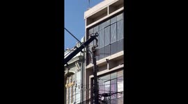 Stubborn cat defies rescue attempts atop pole in Valparaíso