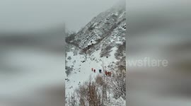 Angry yak forces walkers to leap out the way on narrow mountain path
