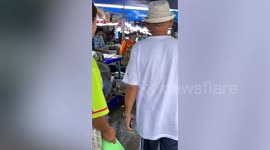 Monitor lizard cools off in seafood vendor's fish tub