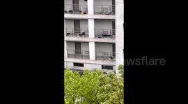 Wild monkeys invade university campus, prompting safety measures