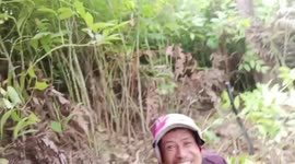 Authorities investigate vlogger who caught and played with endangered monkeys