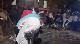 Five members of same family 'die while trying to rescue cat'