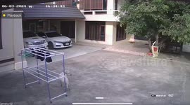 Clever pet dog pushes clothes rack into sun to speed up drying