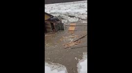 Mass evacuation: dozens rescued as floods ravage Tashtagol District, Russia