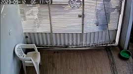 Uncle Accidentally Dismantles Gate