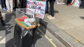 Man locks live pigeon into a glass box and blasts loud music during pro-Palestine protest