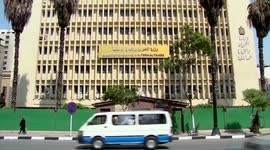 Egypt seeks to secure 3.5 mln tonnes of local wheat in 2024 supply season