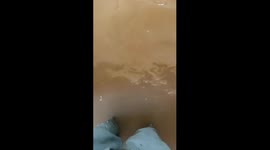 South Russian resident plays piano despite home being completely flooded