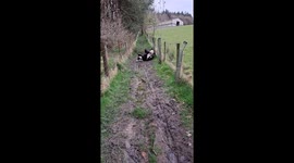 Let's go for a walk she said ..its a nice day to clear your mind 