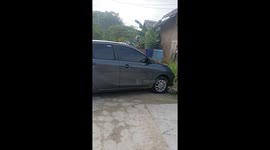 Bungling driver's Toyota rolls backwards and hits house