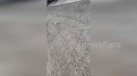 Policeman fooled by bird mimicking siren sound in Oxford