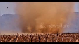 Dual dust devils spotted near Flagstaff, Arizona