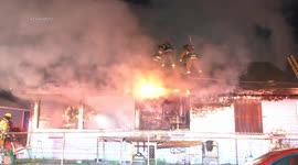 Firefighters Save 2 Dogs in House Fire in Vermont Knolls, LA, USA