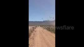 Double dust devil captured in Kingman, Arizona