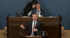 A fight in the Parliament of Georgia in Tbilisi