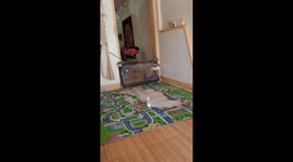 Toddler sneaks through barrier with ease, caught on camera