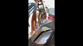 Passenger describes experience riding tricycle with dog