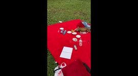 Iguana interrupts picnic: hilarious encounter in Cali, Colombia