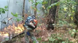 Four university lecturers die of lung cancer in smog-ridden city that Thai PM refused to declare emergency 'to protect tourism'