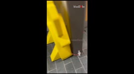 Daring lads show off the 'chilling lounge' they set up in their school bathroom