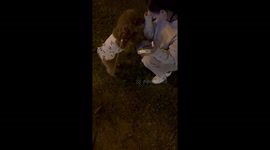 Chinese woman and her dog comfort girl in tears during roadside stroll