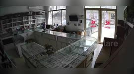 Bird flies through shop's glass window causing it to shatter on owner