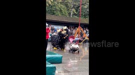 China: Black lion plays with baby during Foshan's Chinese New Year lion dance event