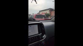 Poor Puppy In The Pouring Rain