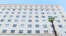 AL chief, UN official discuss Gaza crisis