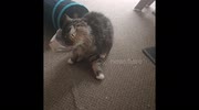 temp