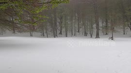 On April 21st, heavy snowfall covered Bocca della Selva, a hamlet in the municipality of Cusano Mutri, located at around 1400 meters above sea level. The heavy rainfall affected all of central/southern Italy.