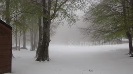 On April 21st, heavy snowfall covered Bocca della Selva, a hamlet in the municipality of Cusano Mutri, located at around 1400 meters above sea level. The heavy rainfall affected all of central/southern Italy.