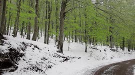 On April 21st, heavy snowfall covered Bocca della Selva, a hamlet in the municipality of Cusano Mutri, located at around 1400 meters above sea level. The heavy rainfall affected all of central/southern Italy.