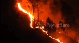 A massive fire broke out in the forest of Nainital near Kumaon division Northern India