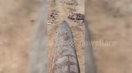 Palestine: An unexploded Israeli bomb in Gaza