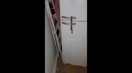 Fridge Lock Fails At Its One Job