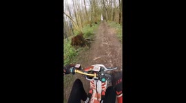 Scooter misadventure: forest breakdown