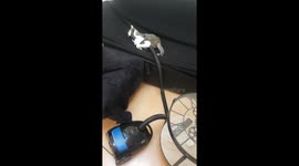 Cat Won't Let Go of Vacuum Hose