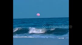 April’s Full Pink Moon Lights Up Night Skies