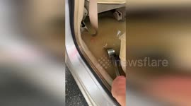 Car owner scoops floodwater from vehicle using soup ladle