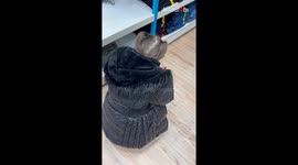 Little girl buys a dupe 'Stanley Cup' with her savings