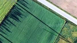 Spain still has a lot to do in renewable energy transition: energy expert