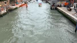 Package: Venice Introduces Entry Fee to Tackle Overtourism