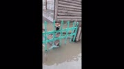 temp
