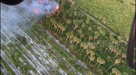 USA: Fire Department Battles First Alarm Grass Fire in Miami-Dade County