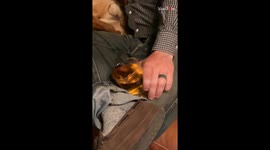 Woman captures hilariously endearing moment of her husband and dog napping on the couch